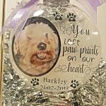 PVC Plastic Keepsake Pet Memorial Ornament Shatterproof 3.9 Inch