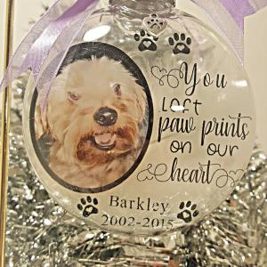 China PVC Plastic Keepsake Pet Memorial Ornament Shatterproof 3.9 Inch wholesale