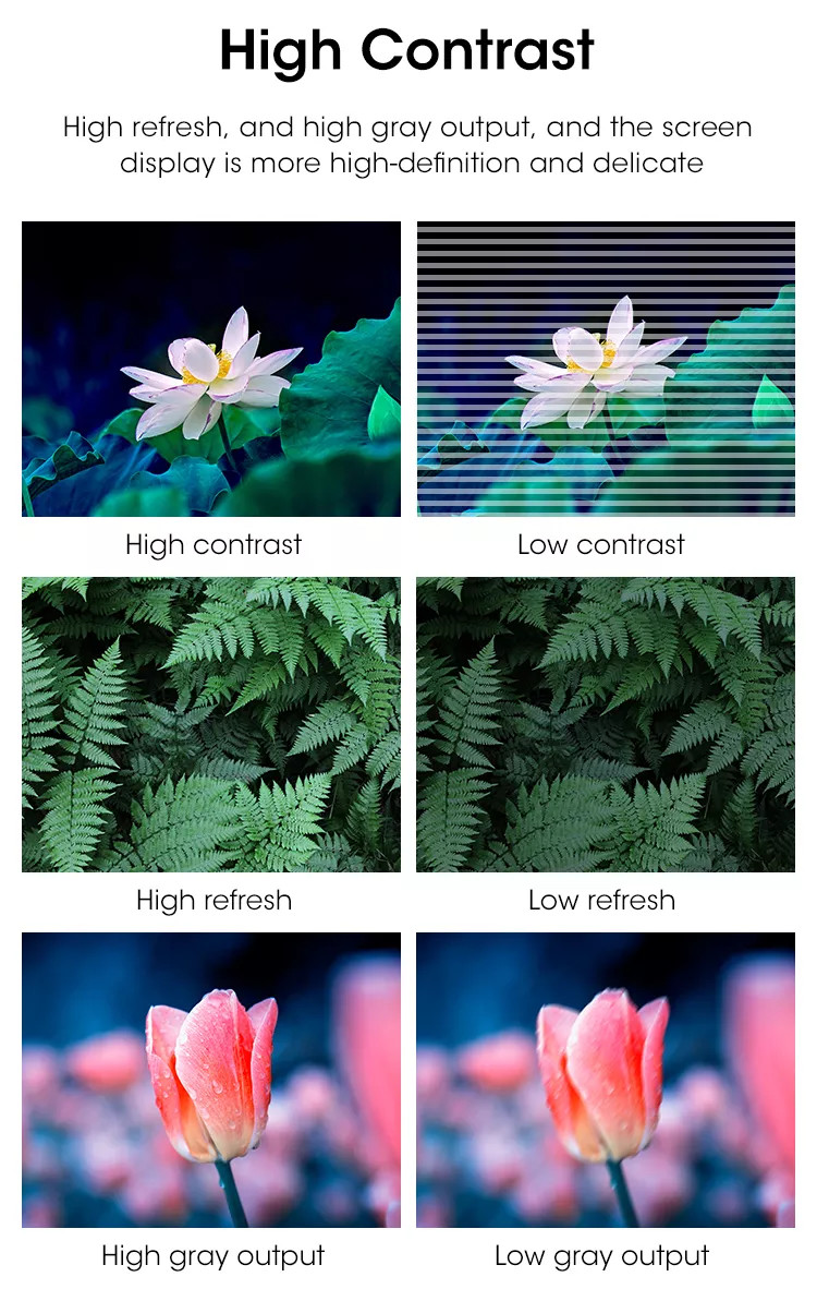 Indoor Fixed P1.56mm Church LED Screen SMD1010 Full Color