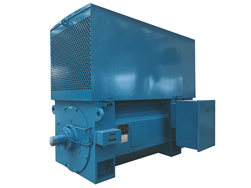 High Efficient High Voltage Electric Motor 6KV And 10KV Energy Saving
