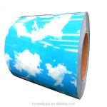 Zin Coated Prepainted Galvanized Steel Coils PPGI PPGL DX51D 1500mm
