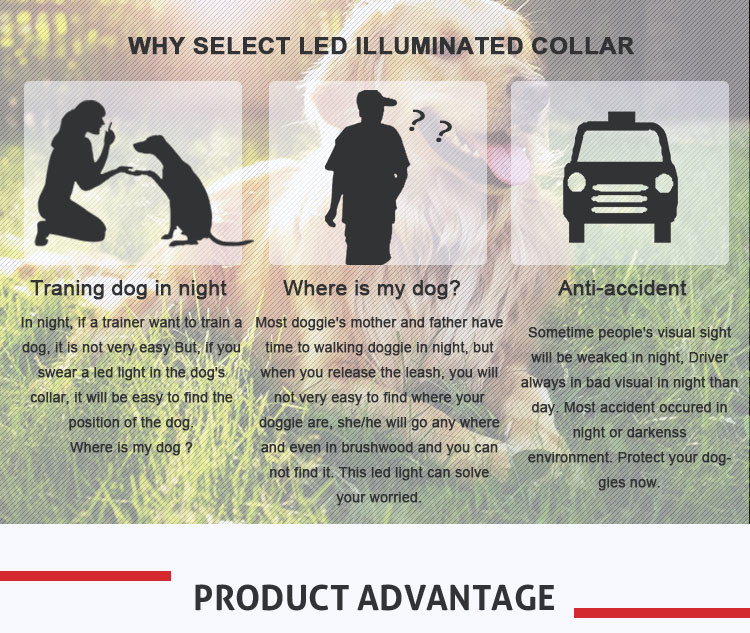 LED Light Waterproof Dog Band Pet Collar Flashing Light Band Safety Leashes Belt