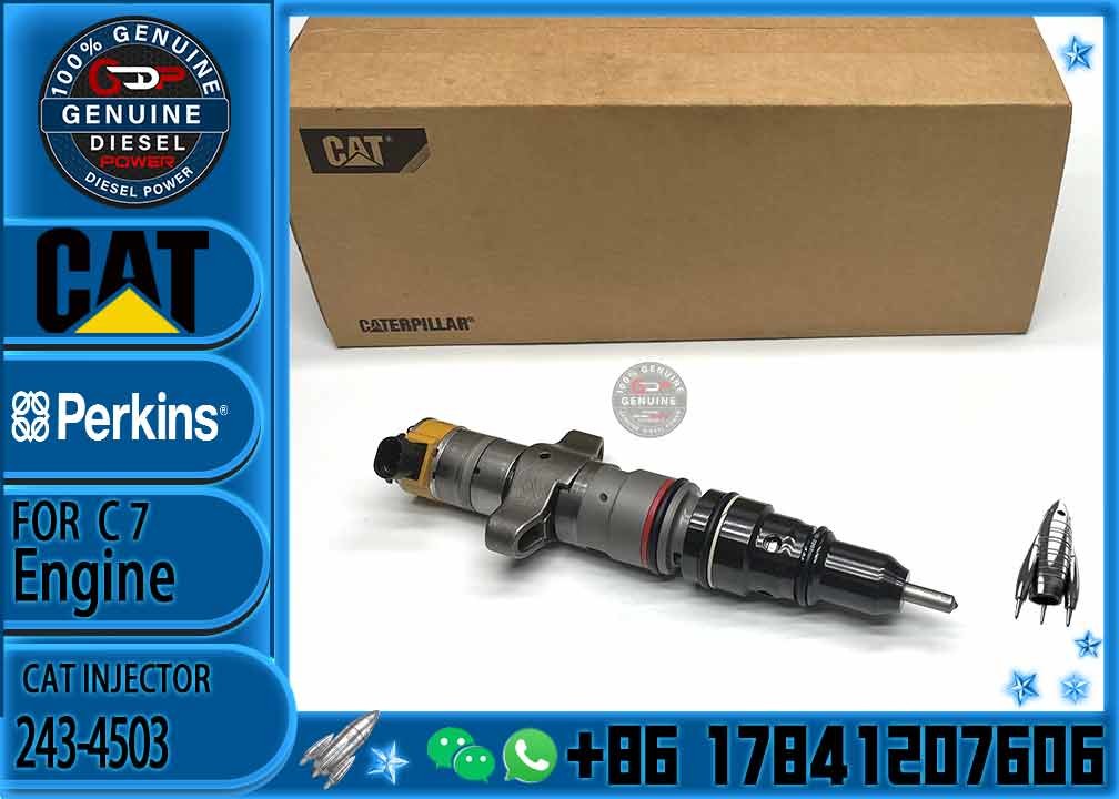 diesel engine parts Common rail injector 243-4503 10R-4763 10R-7221 20R-1260 10R-4761 387-9431 268-9577 293-4071