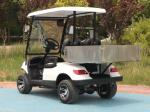 Customized Utility Electric Cargo Golf Cart 60V 48 volt