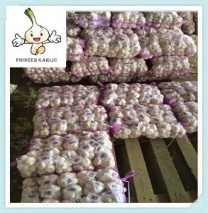 China Fresh normal White garlic 10kg packing China natural garlic price wholesale