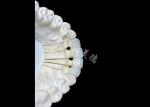 Natural-Looking Zirconia Ceramic Crown Bridge Provides Precision And Aesthetics