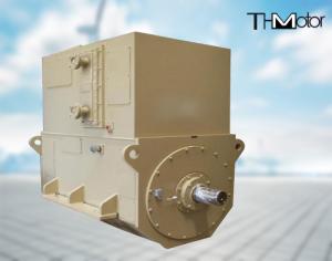 China YKK high voltage electric motor 600kw 700kw 800KW 10000V 2978rpm ac electric motor IP44 IP54 wholesale