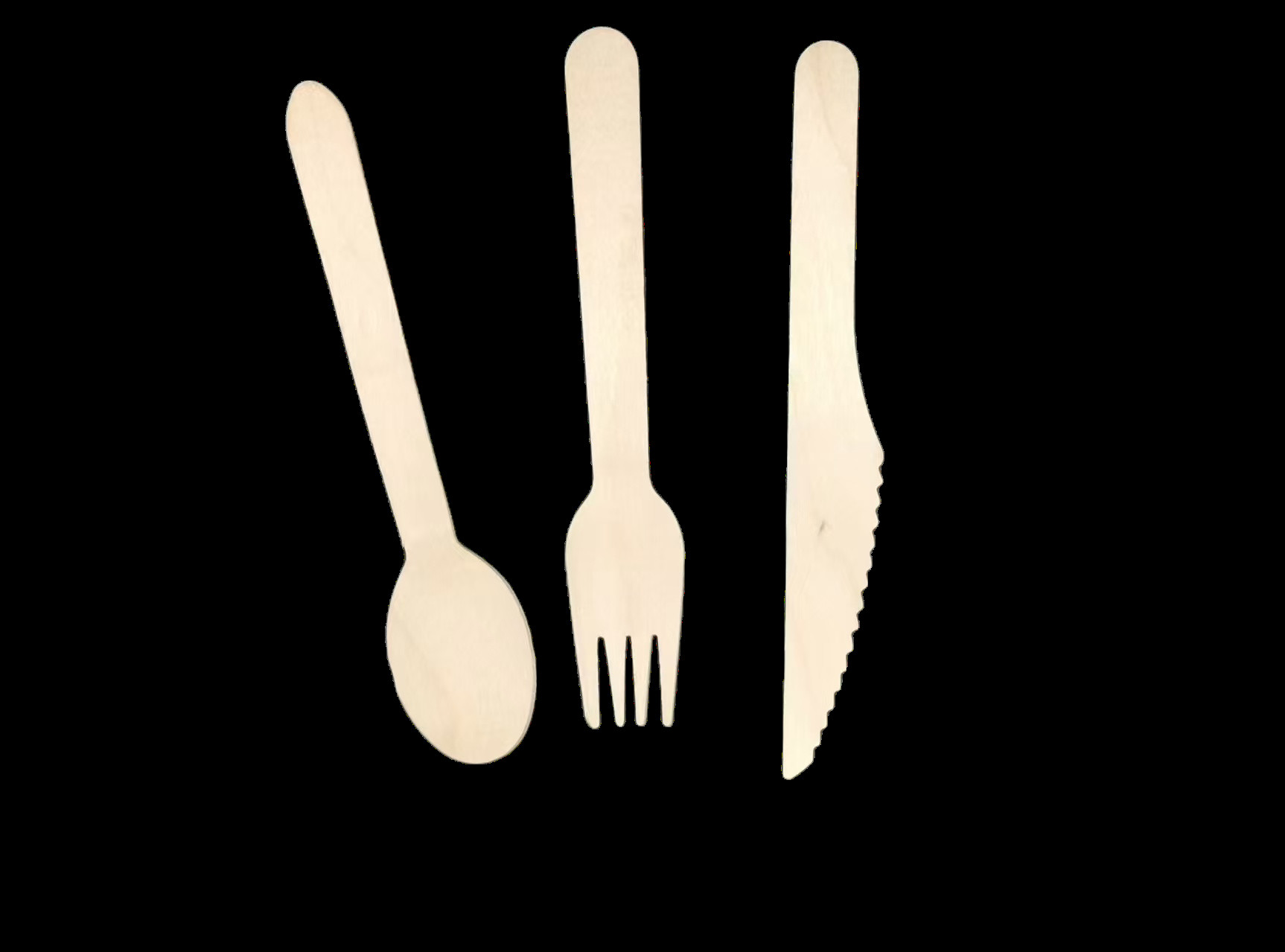 Compostable Wooden Cutlery Reusable