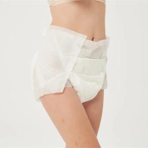 China Ultra Thick Super Absorbency ABDLover Period Underwear Diaper Sexy Cute Printed 62-250g wholesale