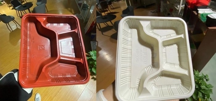 One Step Automatic Blister Machinery Recycling Material Lunch Box Take Out Container