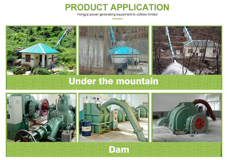 Hydroelectric Micro Mini Small Water Francis Pelton Turgo Kaplan Hydro Hydraelectric Turbine Permanent Magnet Generator