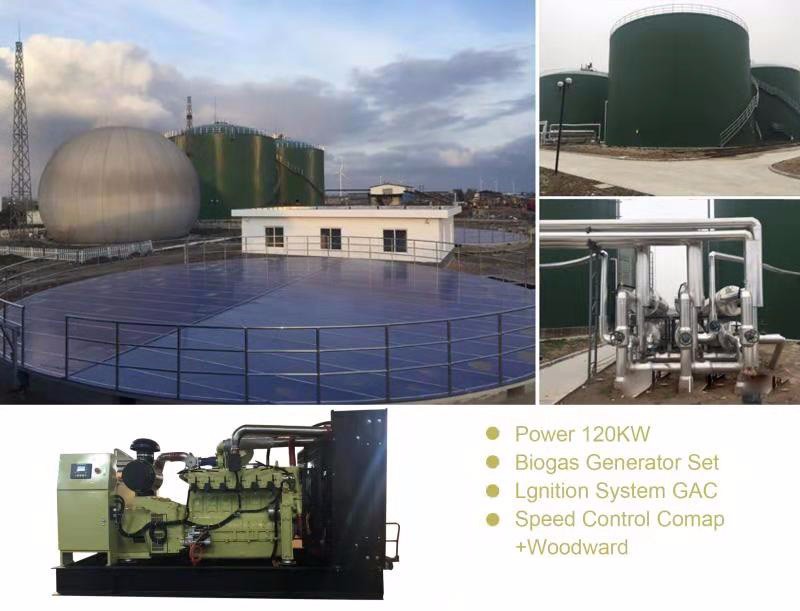 10KW 300KVA Cummins Biogas Power Natural Gas Standby Generator That Run On Natural Gas 50Hz