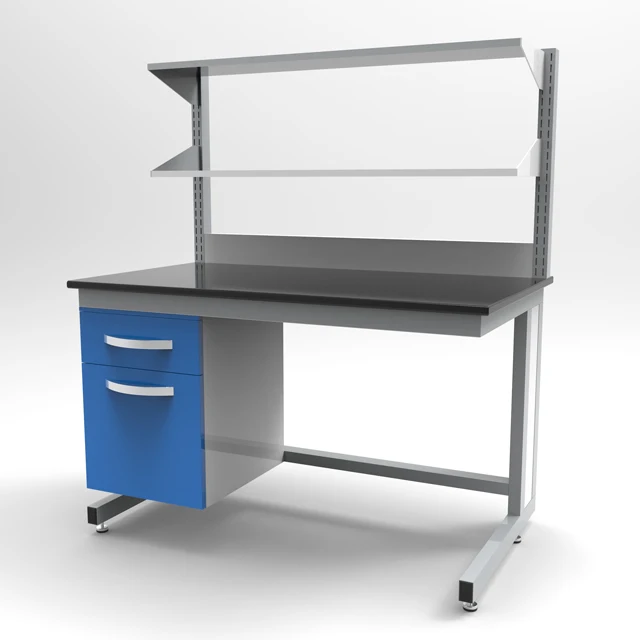 Laboratory Working Benches with Storage Factory Seller Science Electronics Steel and Wood China Customized Laboratory Equipment