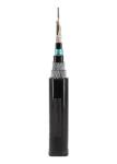 1310nm Gel Filled Fiber Optic Cable , GYTA333 24 Strand Fiber Optic Cable