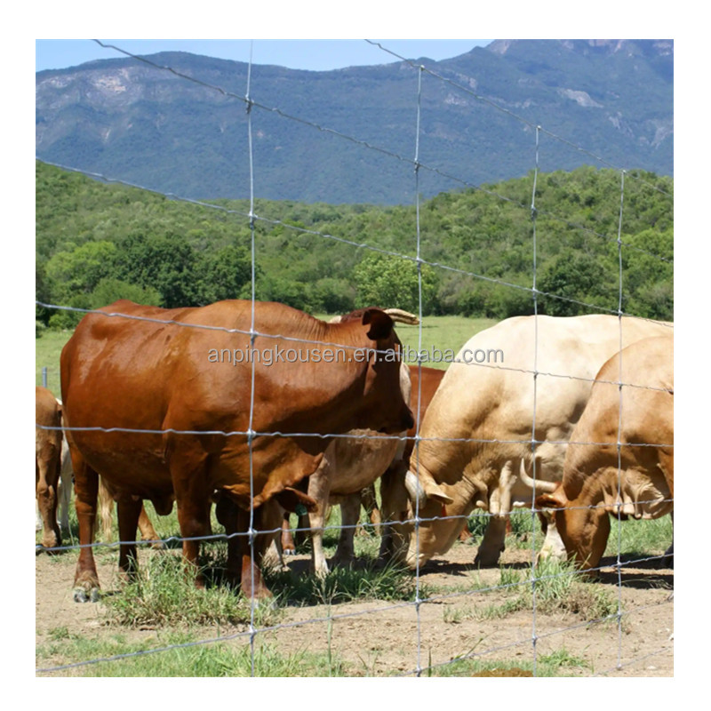 Galvanized 5-8 ft Fixed Knot Deer Cattle Fence for Farm Field Protection Square Design