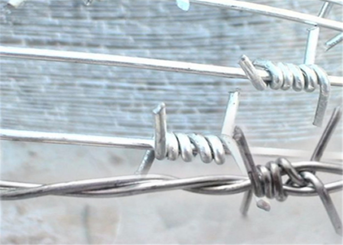 Dia 2.5mm Hot Dip Galvanized Barbed Wire With 4 Points