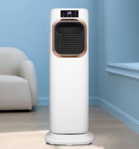 China Household Vertical Dual Purpose Electric Fan Heater Air Cooler with Remote 330*270*900mm wholesale