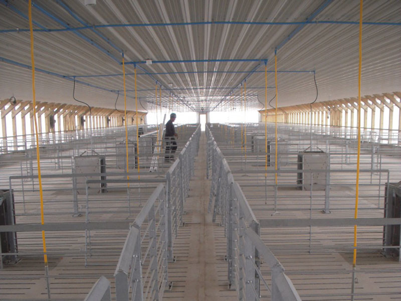 Galvanized Pig Farm Equipment Pig Farrowing Pen Gray Color Alkali Resistance