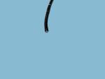 ENF-GP2 High Definition Rhino-Laryngoscope Flexible Endoscope Diagnose And