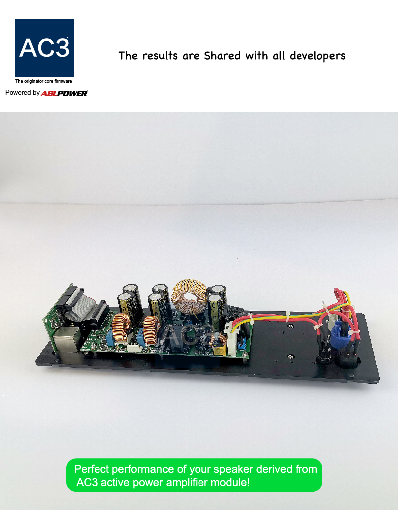 1300W Subwoofer Amplifier Module