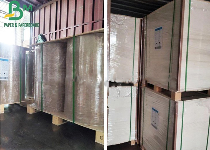 One Side Coated 300g PLA Coating Paper Completely Degraded For Office Cups