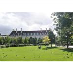 35mm Synthetic Artificiel Green Grass Carpet W Shaped Monofilament PE