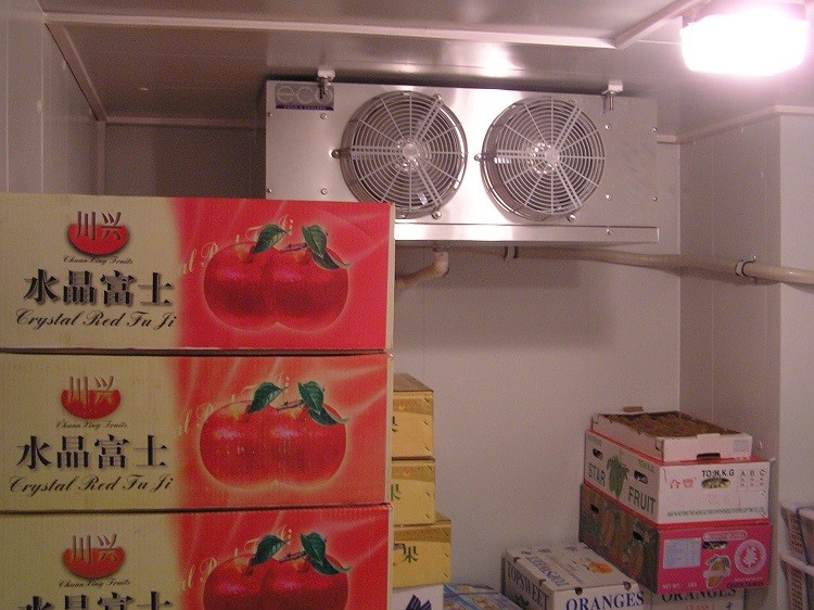 Custom Solar Power Cold Storage Room