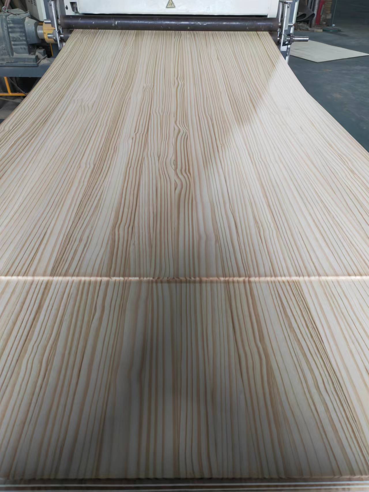 Solid Wood Finger Joint Board Sale Paulownia Board for Surfboard Design Style Sale