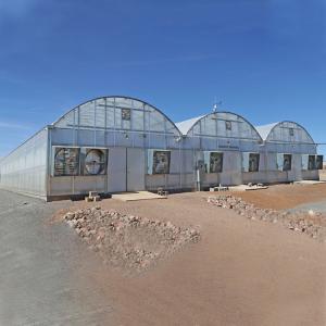 China Agricultural Polycarbonate Sheet Greenhouse Turnkey Project Serre Agricole Intelligent wholesale