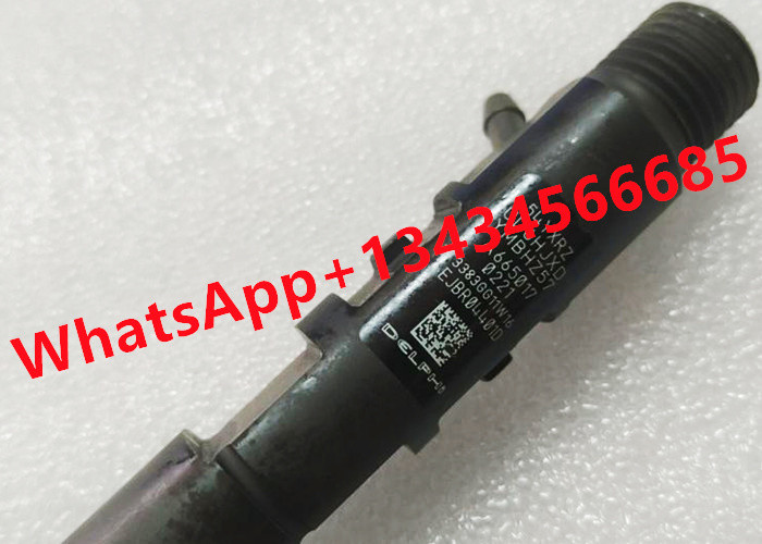 DELPHI fuel injector A6650170221 EJBR04401D S926G03655 Diesel Injector