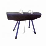 Customized Logo Availabled Professional Pommel Horse For Gymnastics