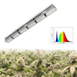 China Full Spectrum Greenhouse LED Grow Lights For All Phrases Plant Growth Veg Bloom wholesale