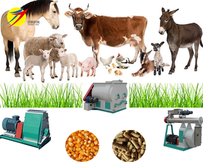 Chicken hens broiler feed pellet making machine with high quality