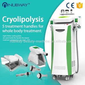 China Best seller body shaping freeze machine cryolipolysis freezing fat slimming machine wholesale