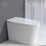 Modern Europe Smart Intelligent Toilet Instant Heat 680*420*500mm