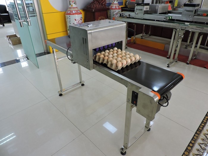Small Character Expiry Date Printing Machine , Logo Making Machine 600 DPI