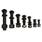 Stainless Steel Railway Track Fasteners , GOST ANSI Black M10 Bolts Finishing