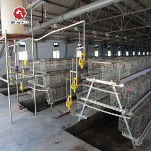 China Galvanized Baby Chick Wire Bird Breeding Cages Automatic Farming wholesale
