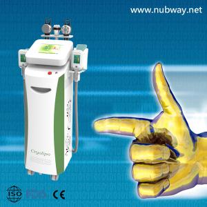 China Vertical amazing result vacuum rf cryolipolysis to losing weight wholesale