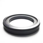 OEM ODM Graphite Sealing Ring