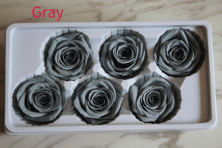 Natural preserved fresh flowers for Valentines day Never Withered Flowers Home Decoration