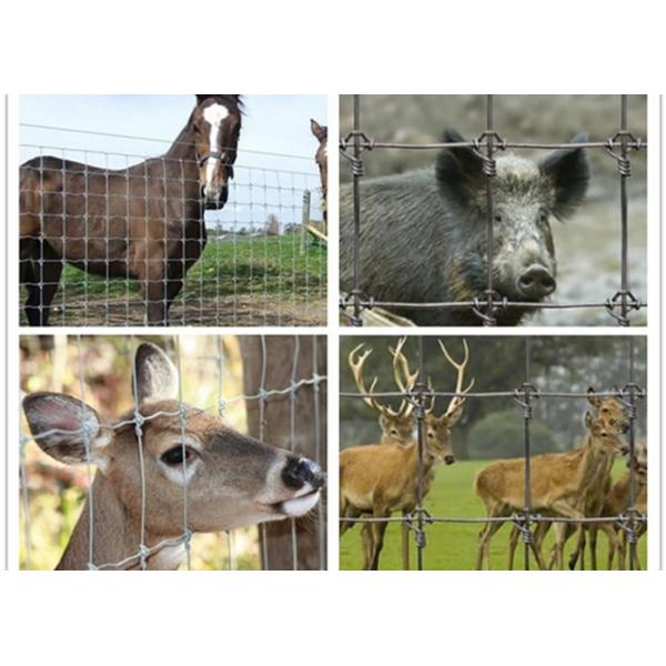 Galvanized Welded Wire Livestock Panels Low Carbon Steel Good Flexibility