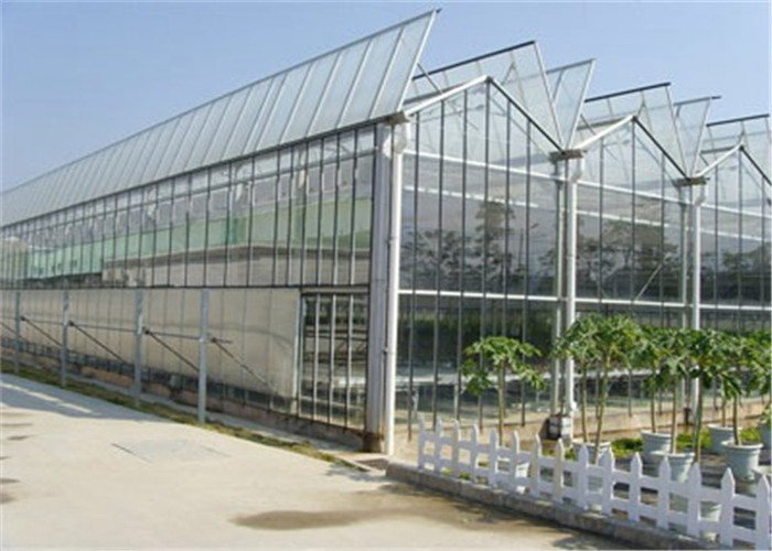 Agricultural Modular Greenhouse Strong Coating Toughness Design Shouguan