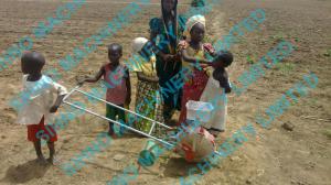 China hand pushing corn and beans seeder wholesale