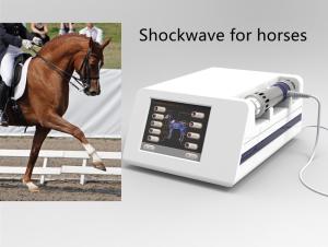 China 16Hz Veterinary Laser Shockwave Therapy Machine wholesale