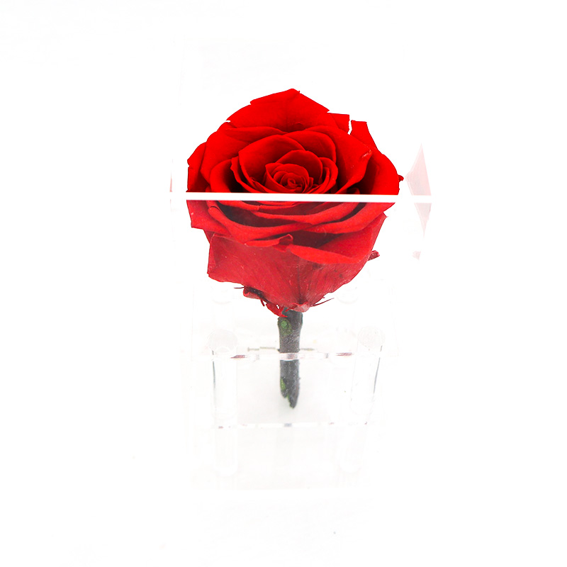 Wedding / Party Decoration Preserved Rose Flower With Long Stem
