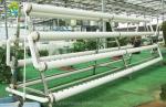 Greenhouse Vertical Soilless Hydroponic System Hydroponic Growing Equipment