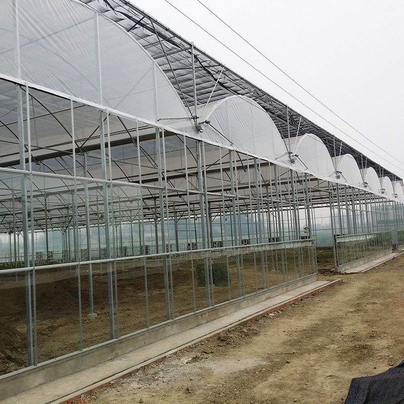 Tropical Climate Custom Size Poly Tunnel Plastic Film Agricultural Sawtooth Greenhouse