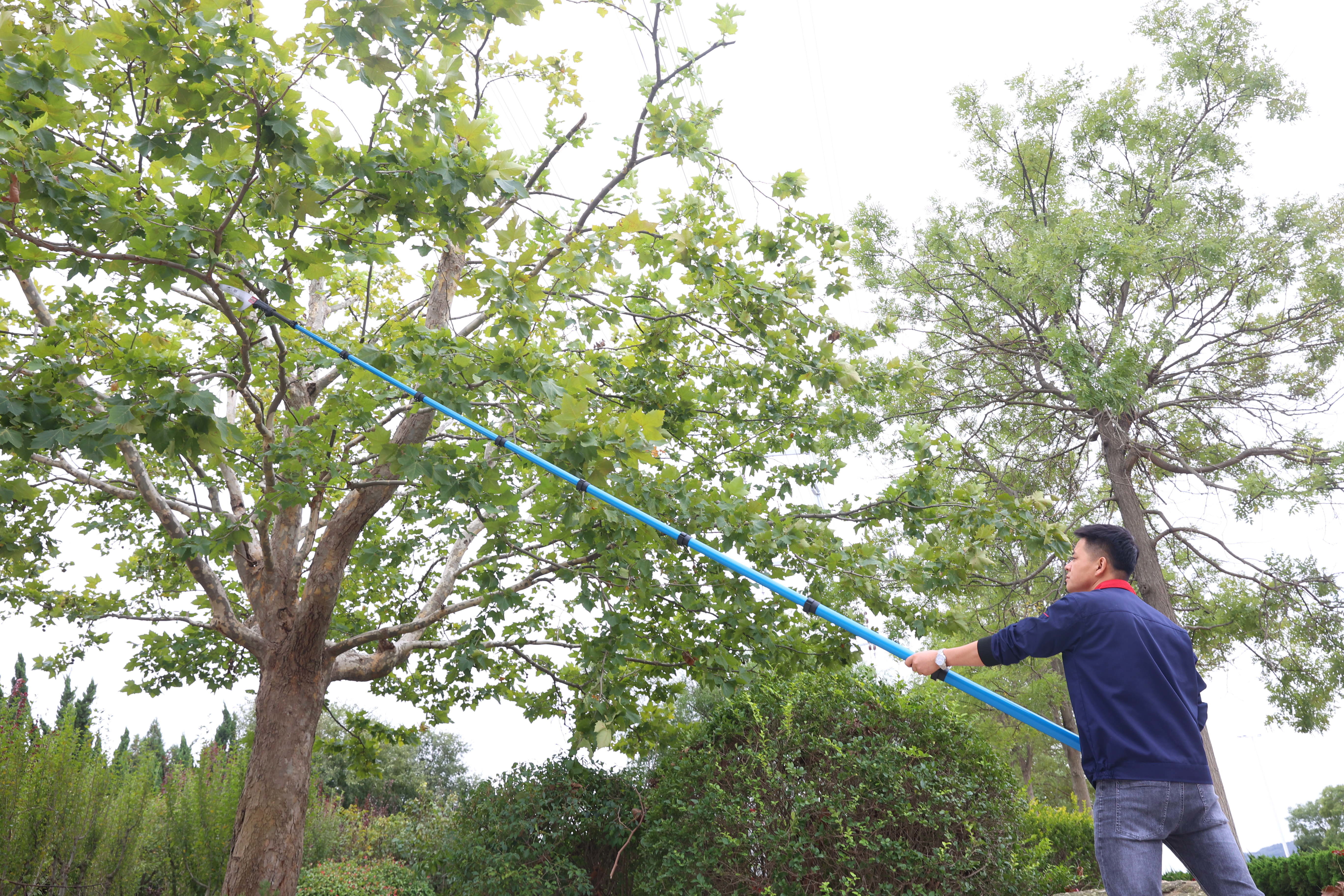 60ft 70ft 80ft Telescopic Harvest Pole Carbon Fiber Extension Saw Pole 15m 18m 21m