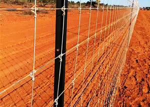 China Galvanized Grassland Wire Fence Cattle / Sheep / Field / Deer Farm Fence wholesale